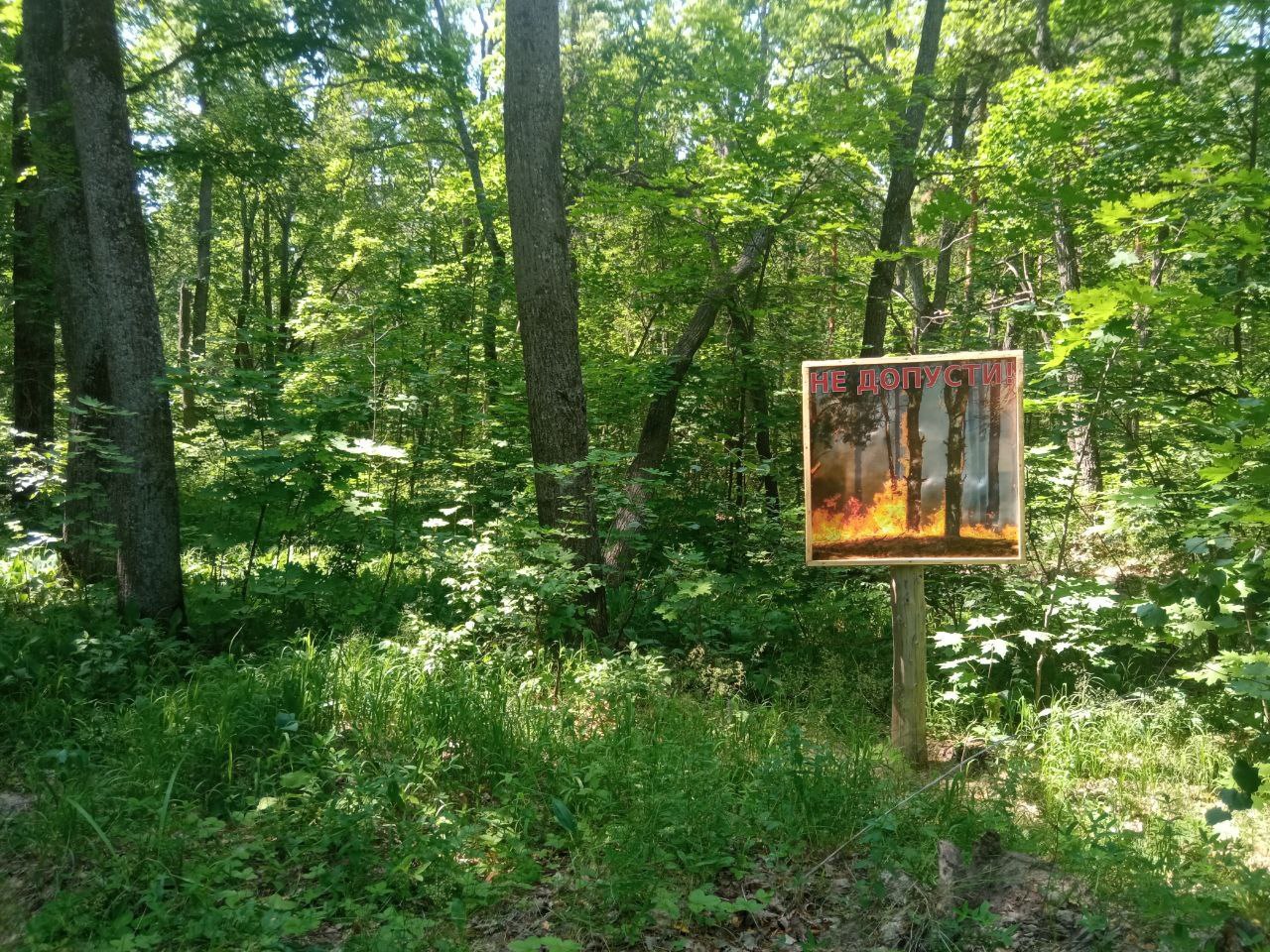 Саратовцам до конца октября продлили запрет на посещение леса